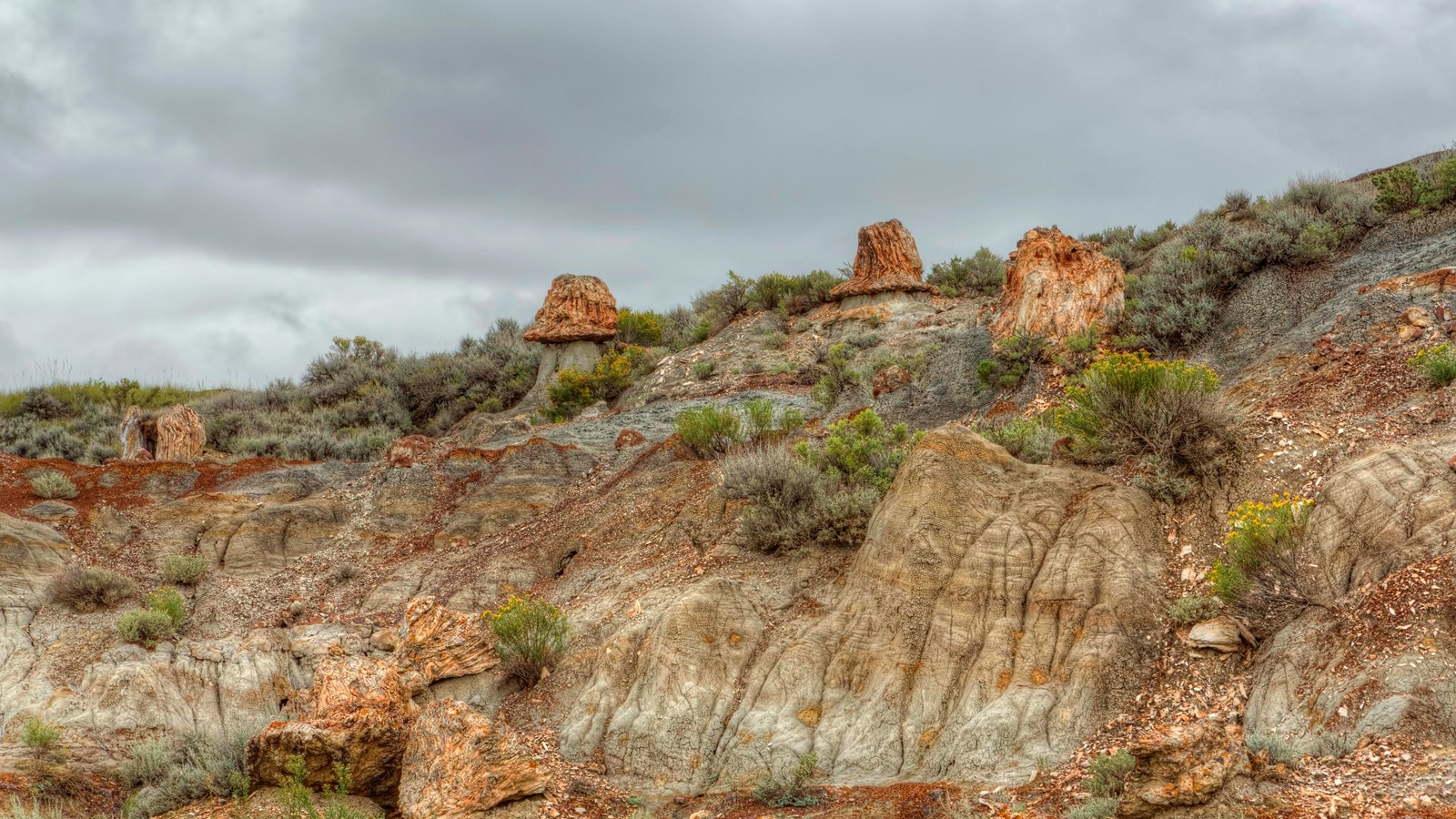 Several petrified stumps scattered along the side of a butte under a cloudy sky. 