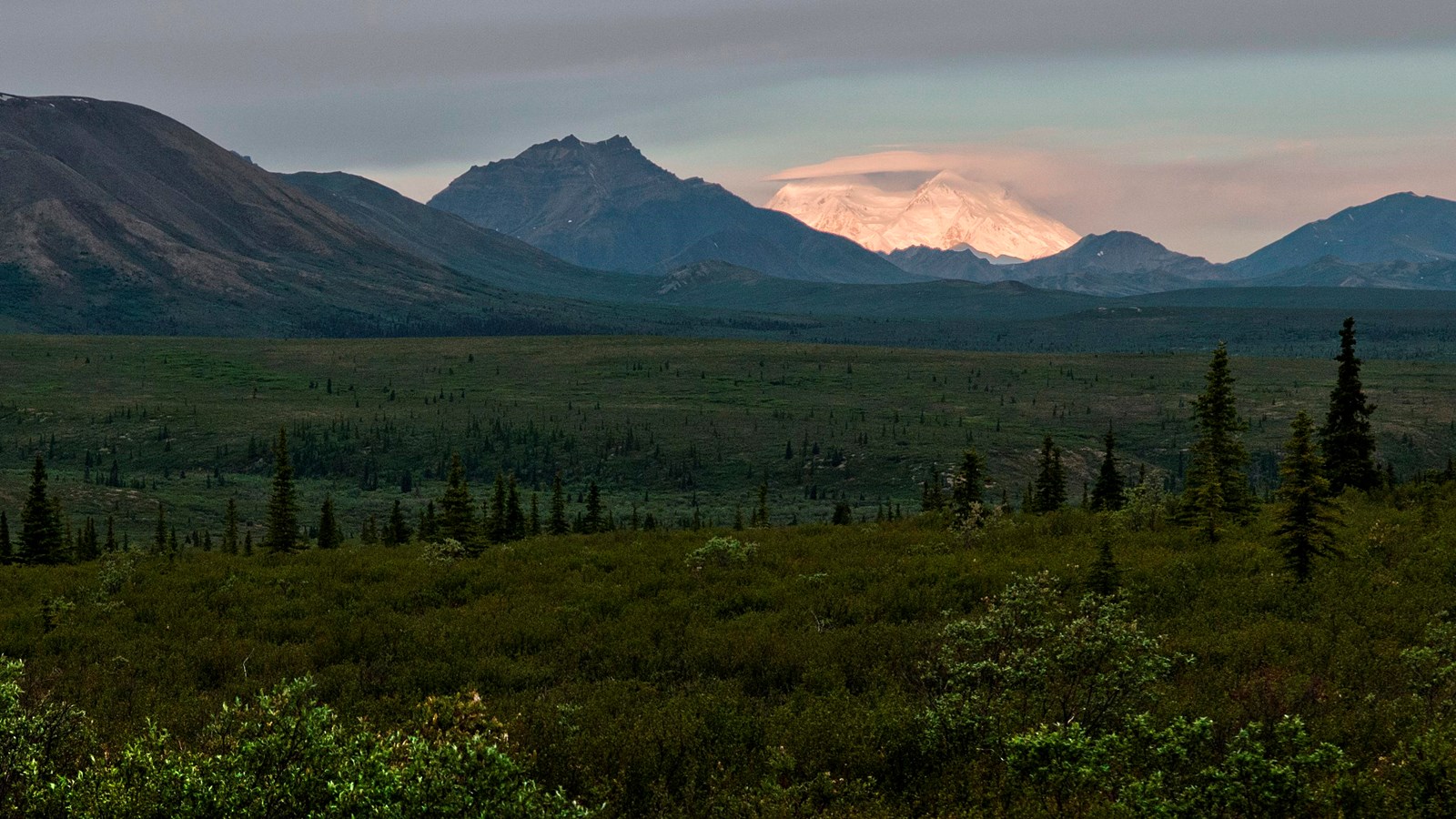 brushy landscape leading up to brown mountains, with a huge snowy mountain looming farther off