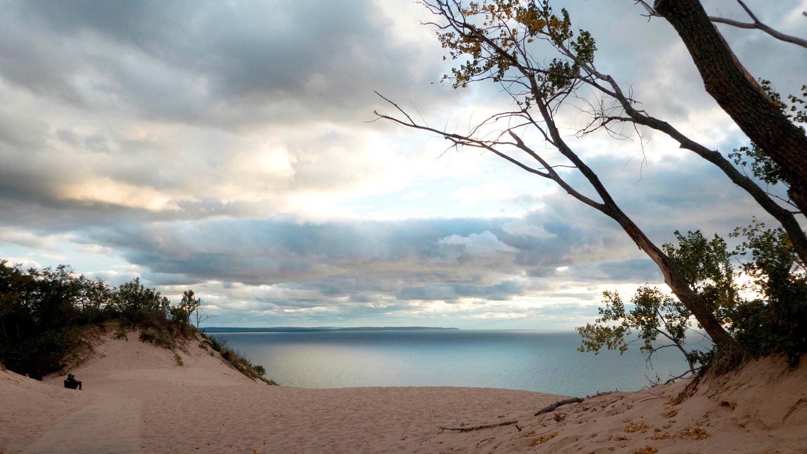 Cloudy, gray sky darkens the sand and tree in the foreground and reflect in the water at the horizon