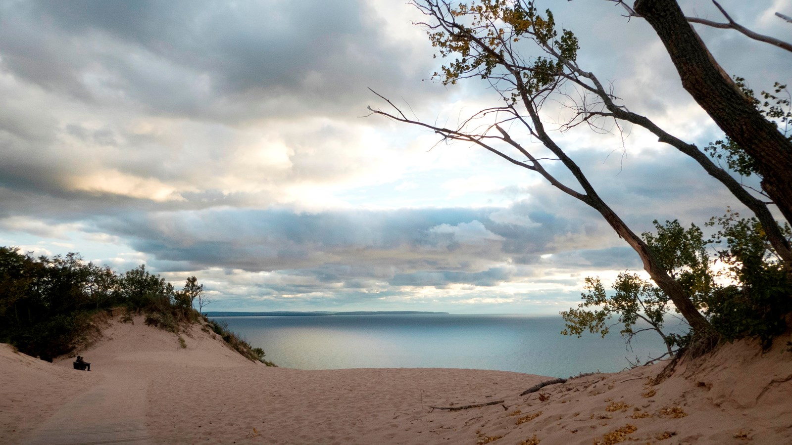 Cloudy, gray sky darkens the sand and tree in the foreground and reflect in the water at the horizon