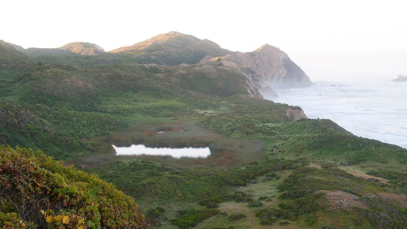 A small lake nested in coastal scrub brush near cliffs that descend to a foggy ocean.