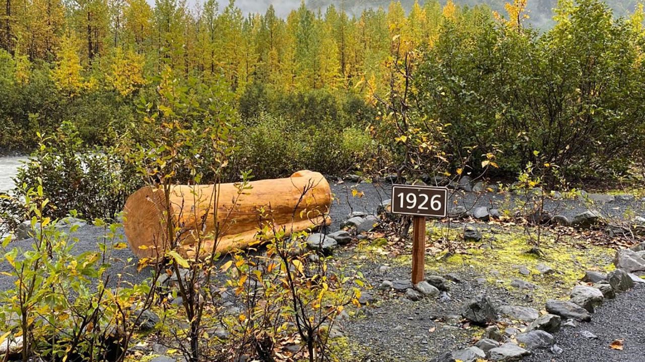 A log bench behind some rocks and shrubs. The bench overlooks a creek and a forest
