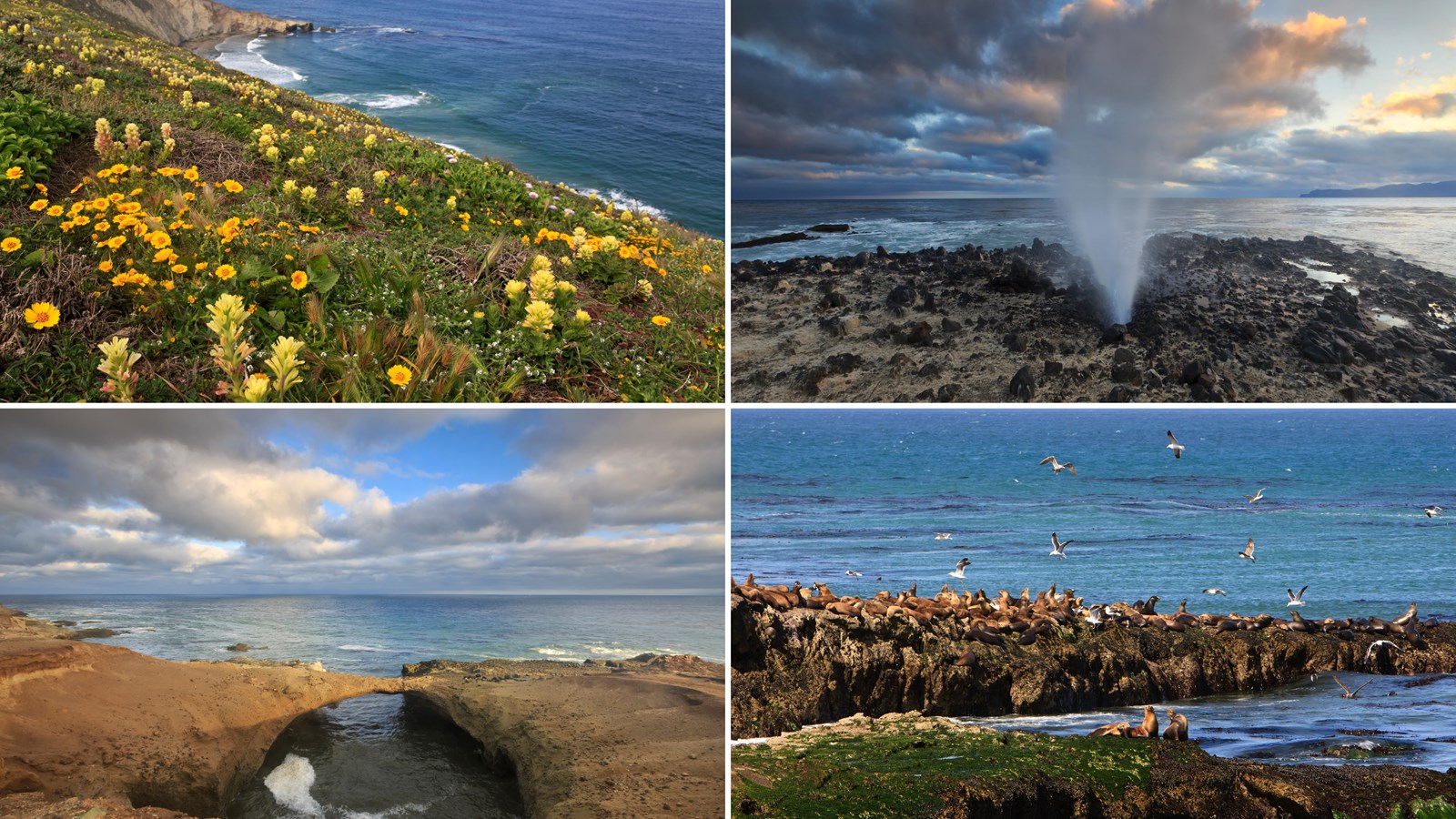 Rocky coastline leading to point.