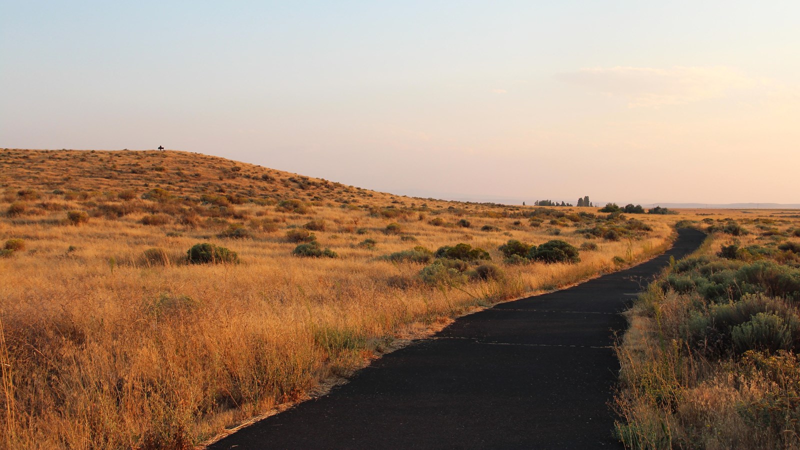 A paved path twists through a grass covered hills and plains.