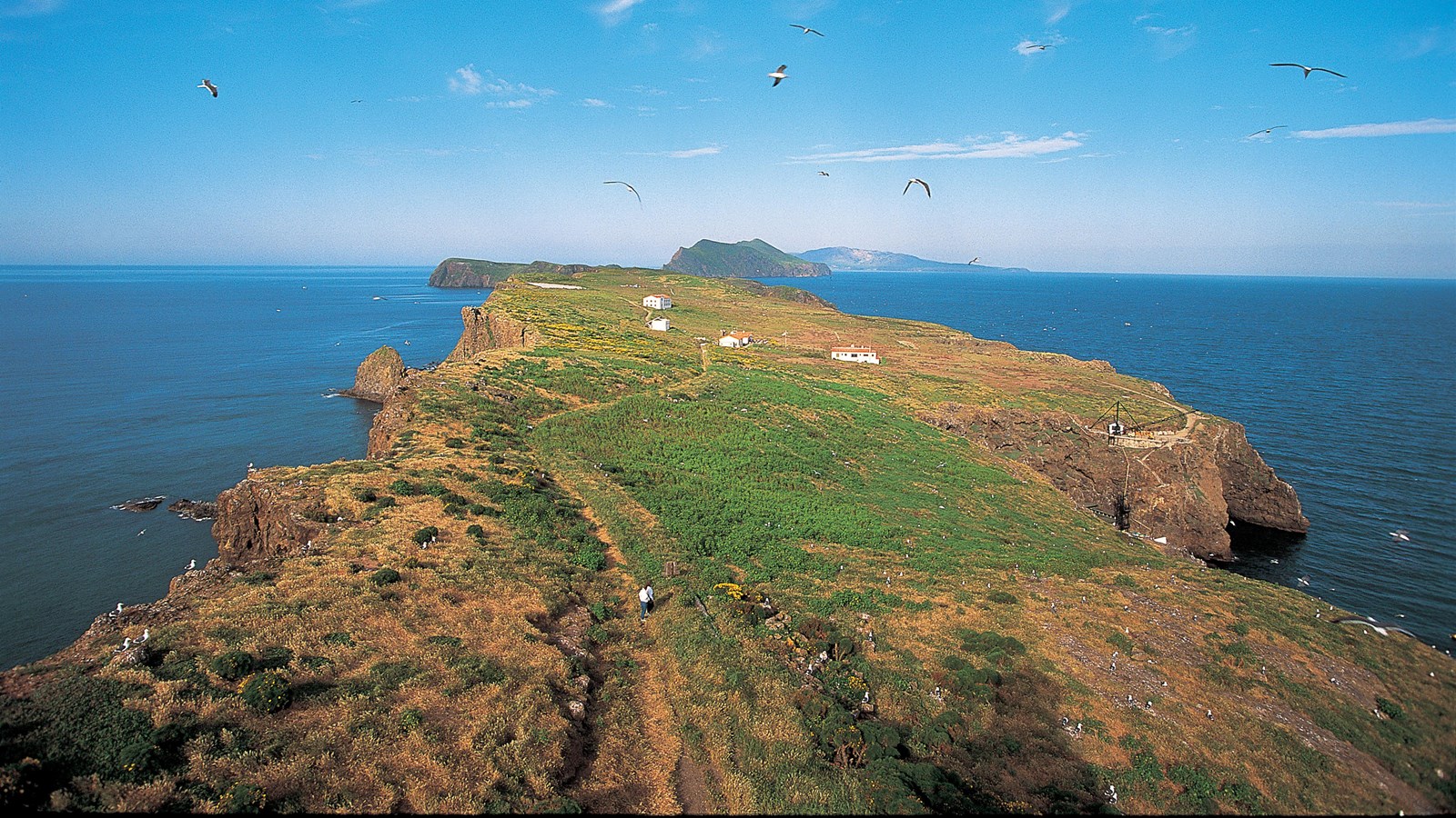 flat marine terrace with other islets in background.