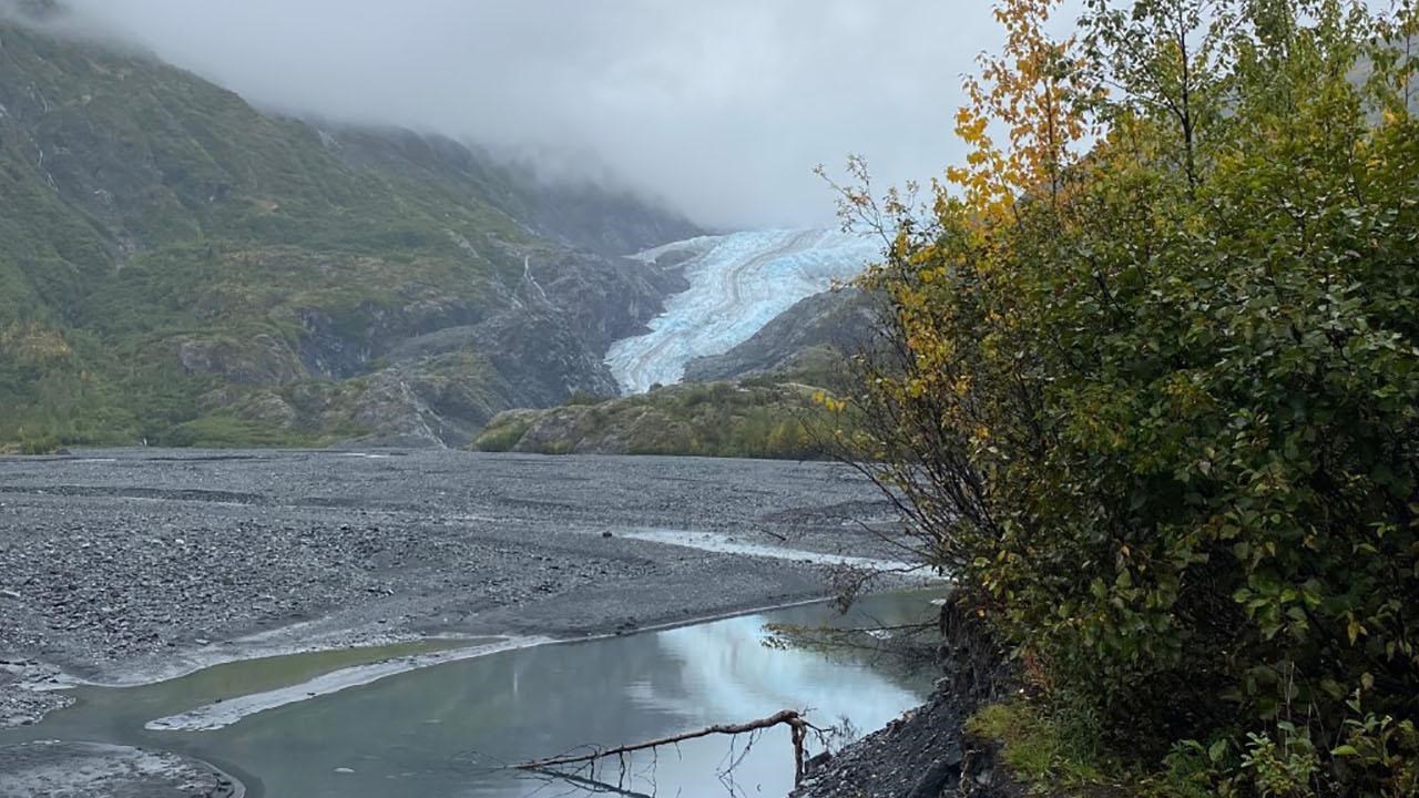 A small mall shrub is on the right of the image.  In the distance is a glacier.