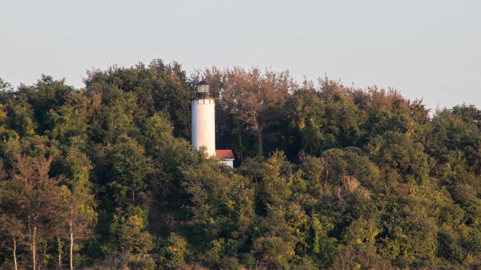 a white lighthouse sticks out among trees