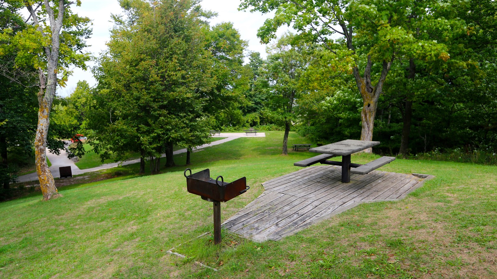 Wooden deck with accessible picnic table and grill surrounded by green lawn and dark green trees