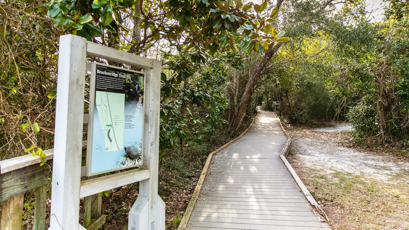 A sign for the Brackenridge Nature Trail stands next to a boardwalk that leads into the woods.