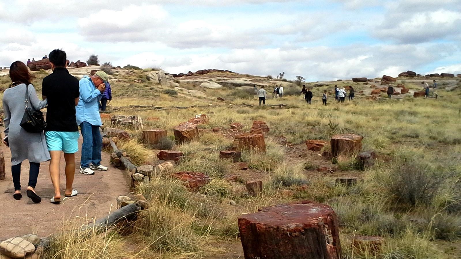 People walking trail amidst grass and petrified wood, cloudy sky