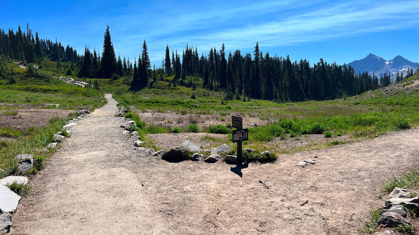 T-shaped trail intersection surrounded by open patches of meadow and conifer trees 