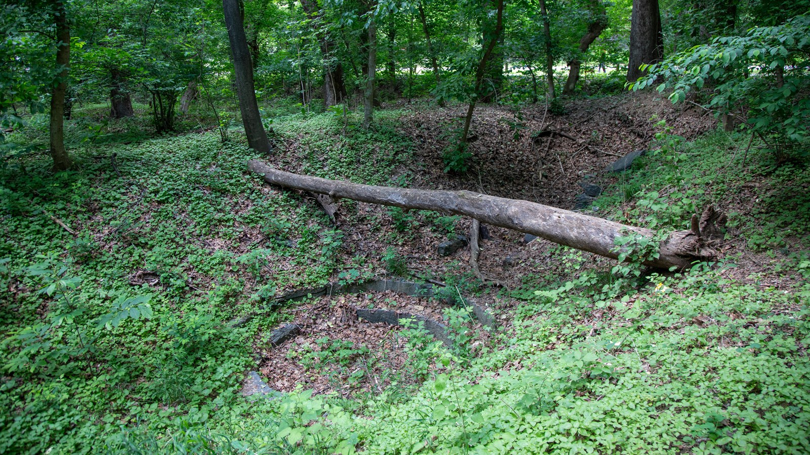 Circular stone structures line the edge of a pit in the middle of a forested area.
