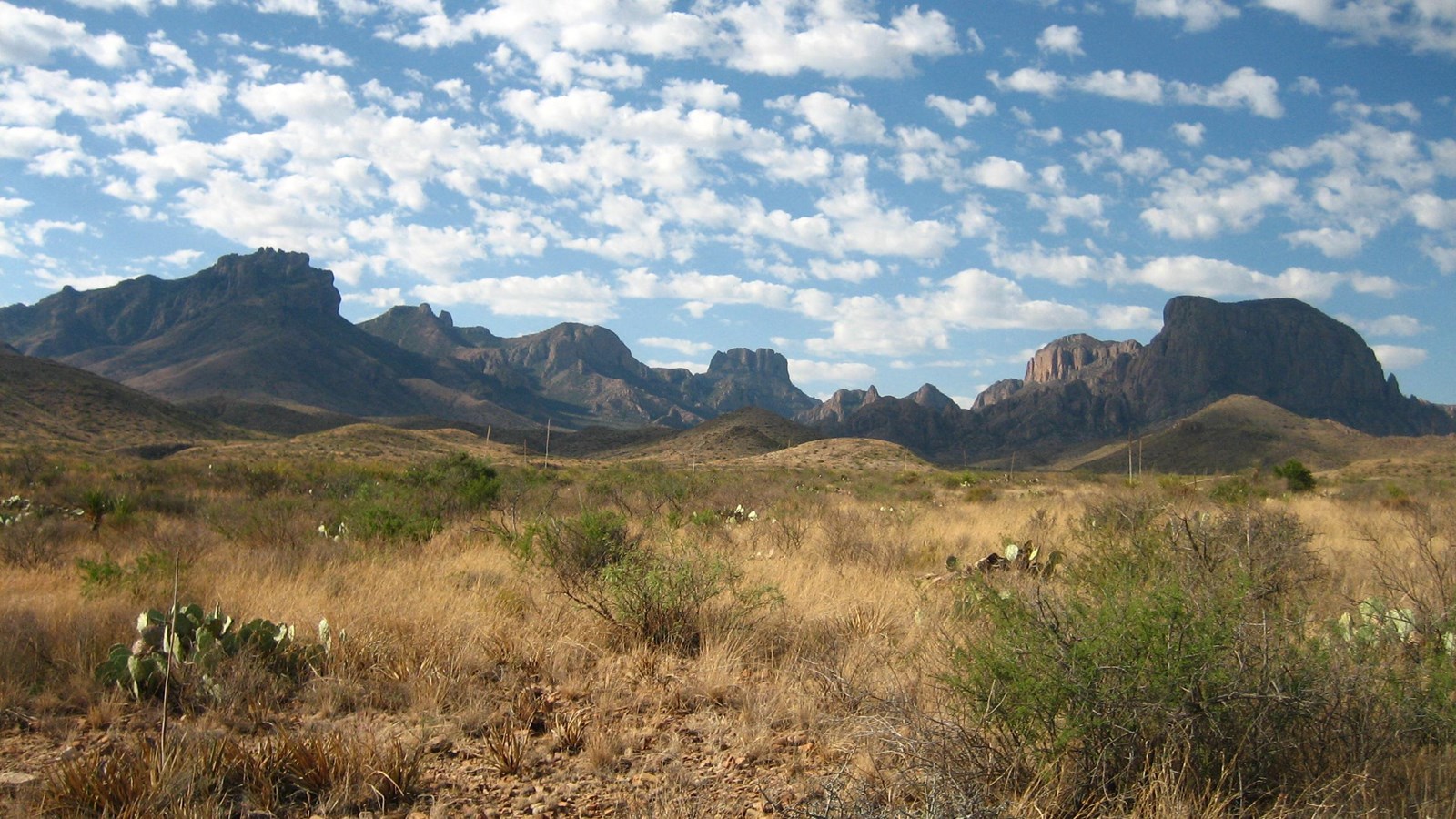 A line of high mountains fills the skyline behind a mixture of grassland and desert vegetation.