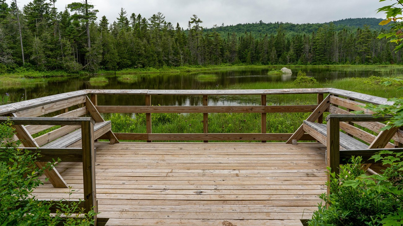 A wooden viewing platform with built in benches looks out at a large pond and forested wetland area.