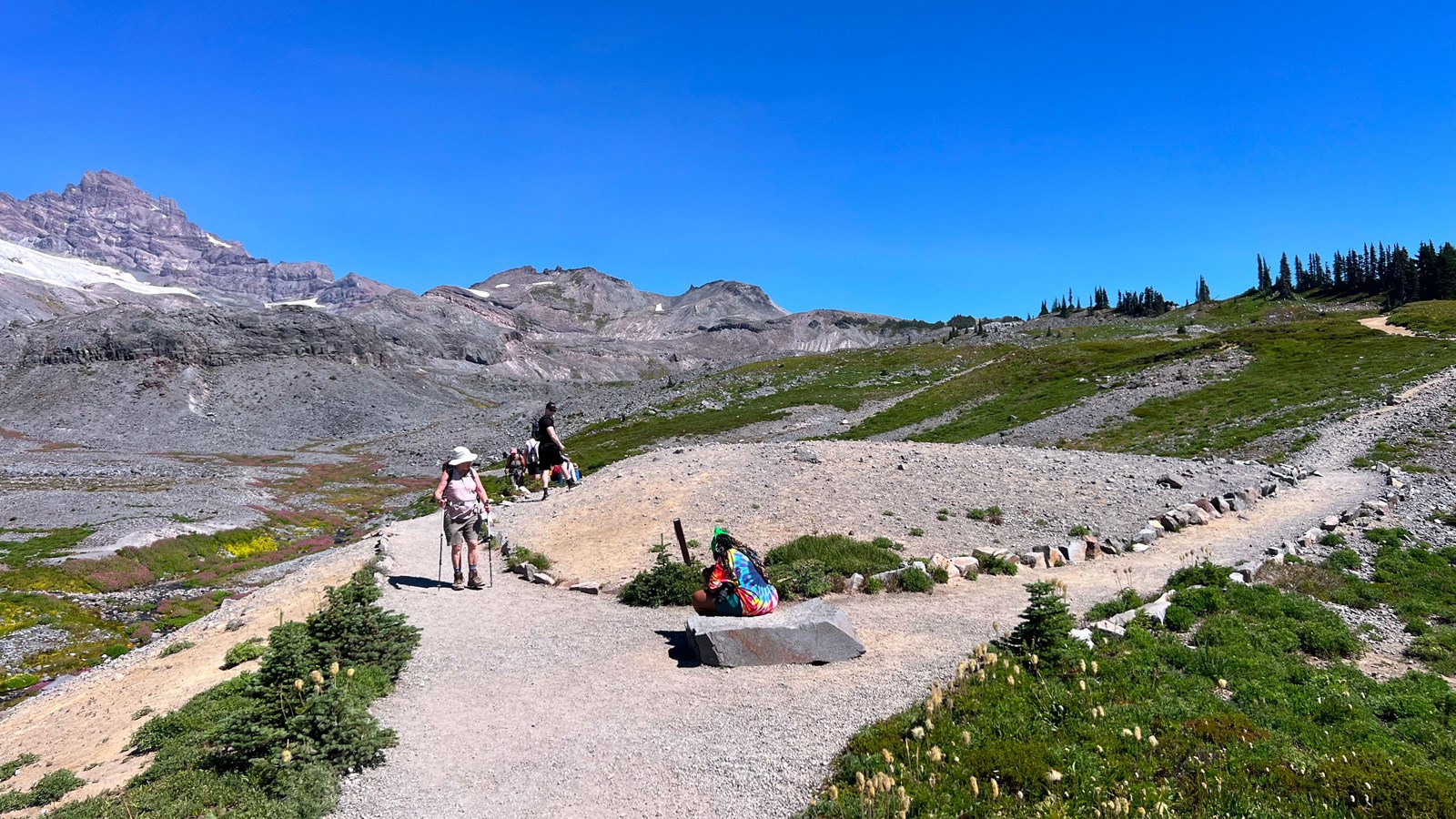 T-shaped trail intersection surrounded by open meadow and glaciated summit of Mount Rainier to the n