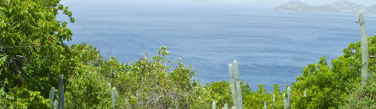 View from Tektite Trail 