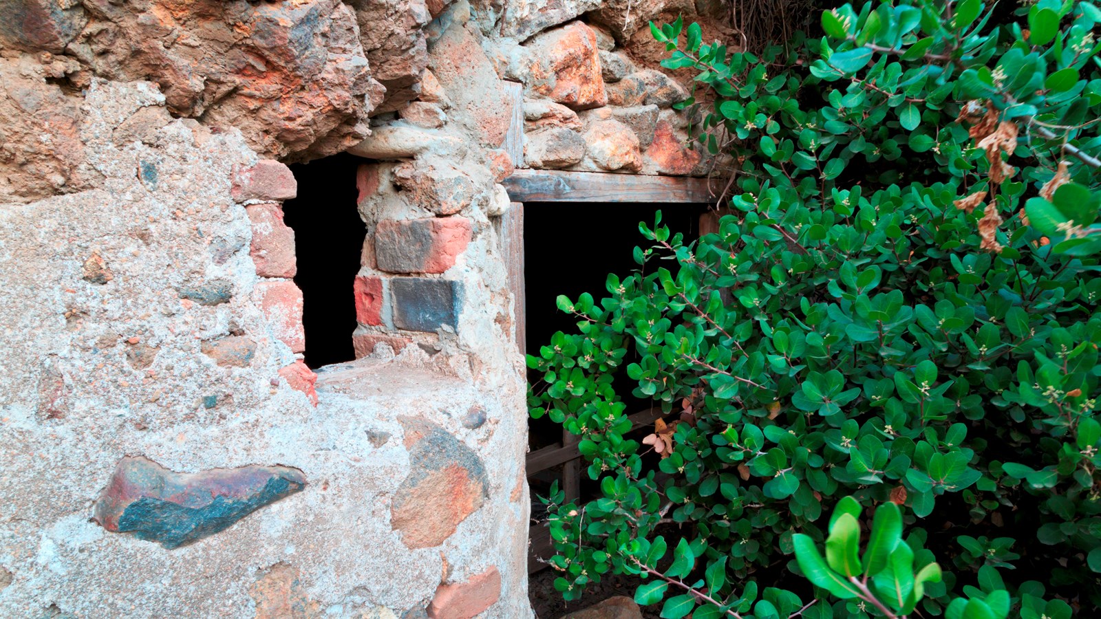 opening in cliff face that has been converted into dairy cave with door