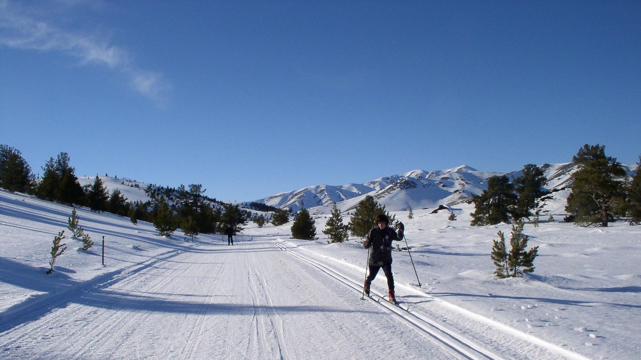 A cross-country skier travels down the groomed park road in winter.