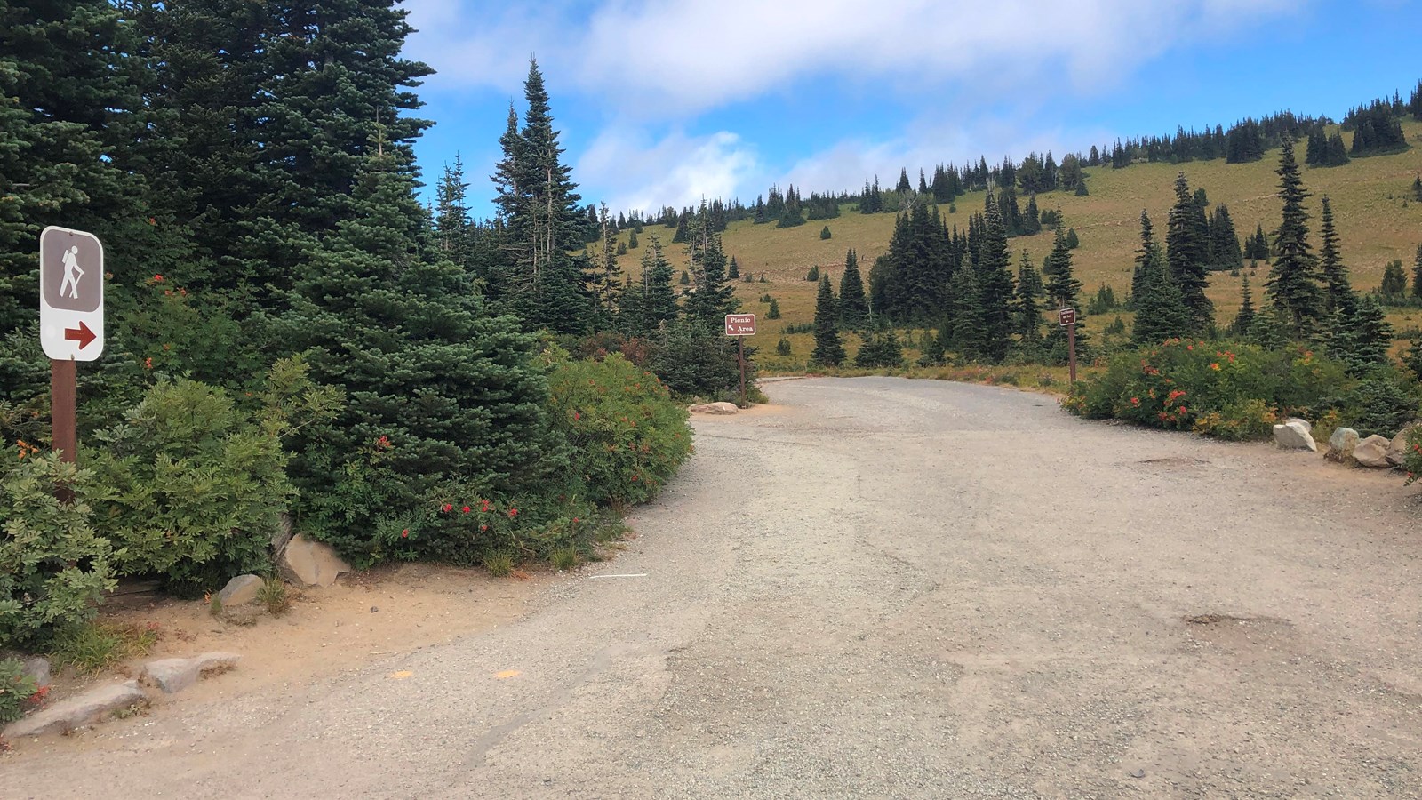 A dirt road goes past a brown sign with an image of a hiker and an arrow pointing up the trail.
