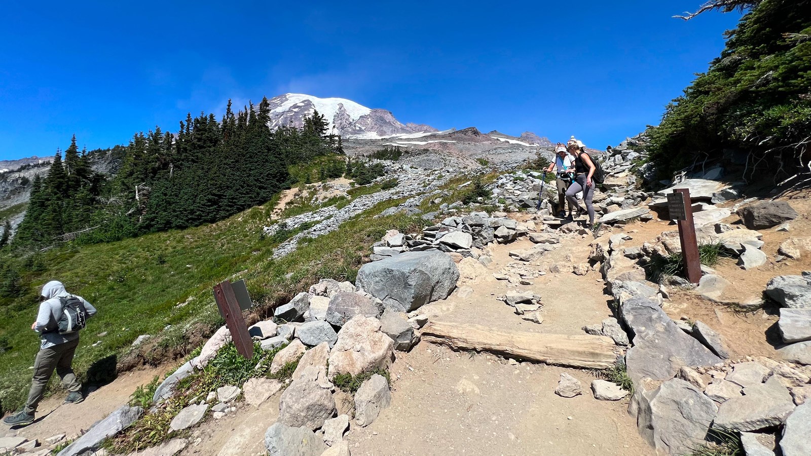 T-shaped intersection surrounded by rocks, patches of open meadow, and conifer trees with glaciated