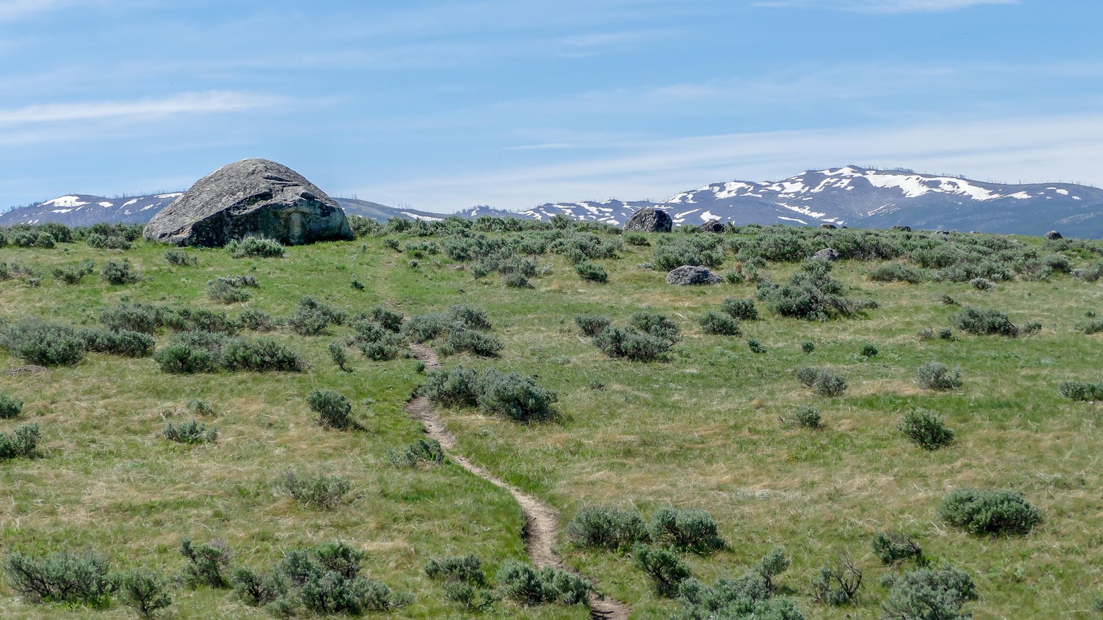 A sagebrush meadow with mountains in the distance.
