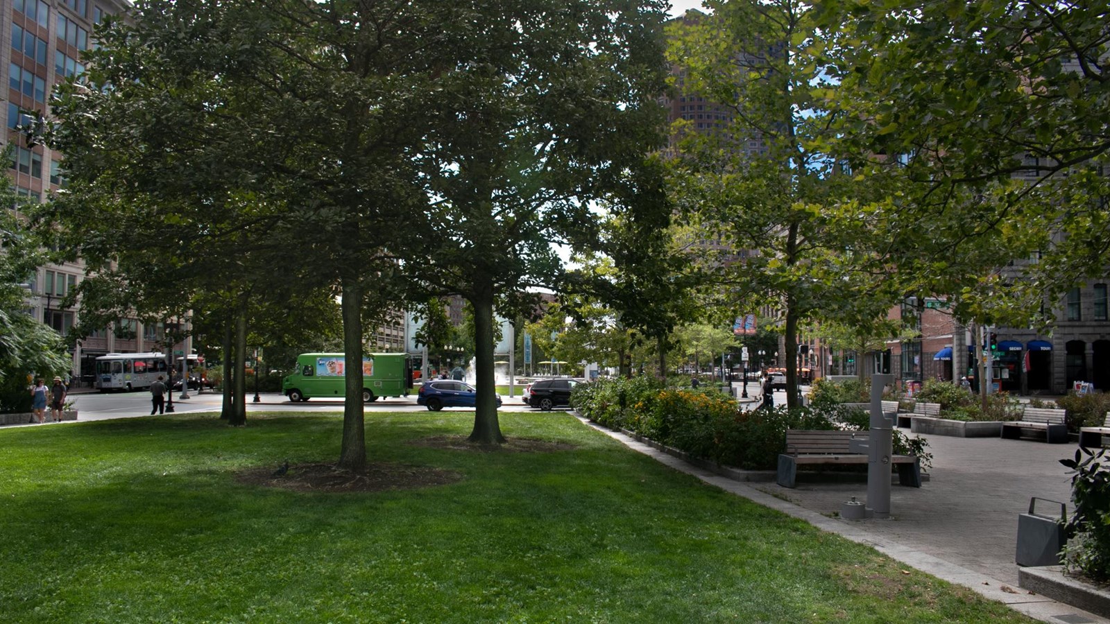 Trees stand in the middle of a grassy greenspace bordered by a paved walkway with benches.