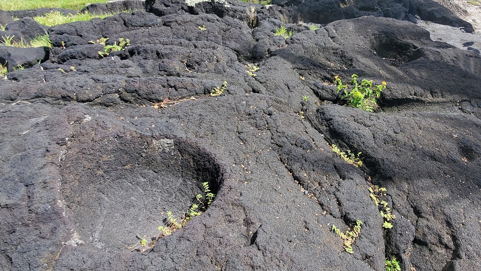 Circular carved bowls in the lava rock showing tool marks throughout.