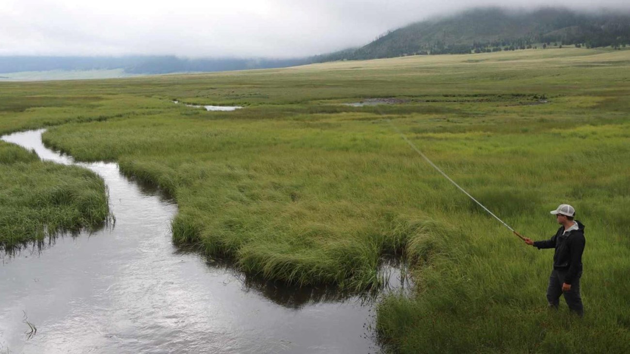 An angler fishes a narrow stream in a foggy montane grassland.