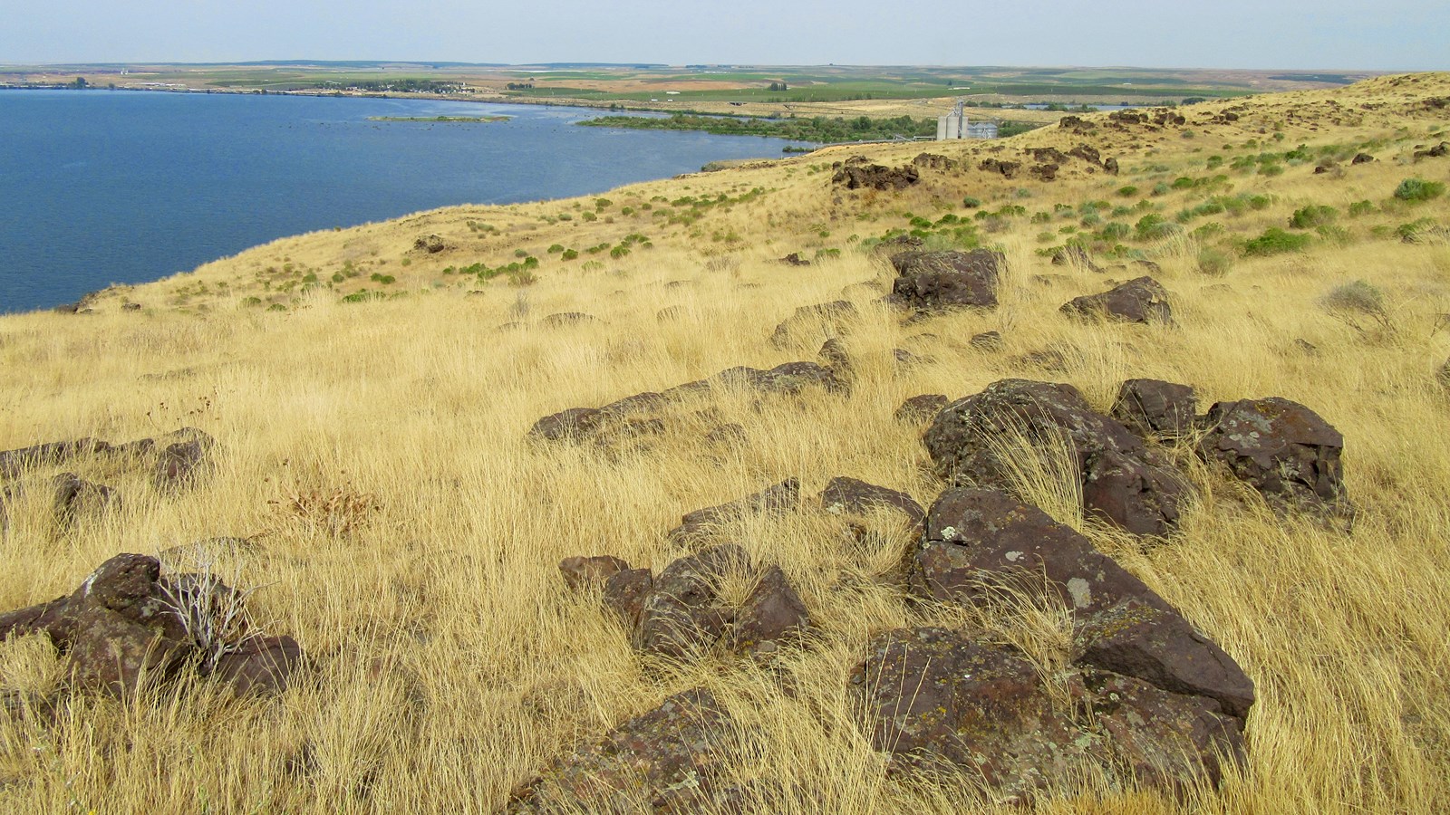 Yellow prairie grasses with rocks overlooking large river below