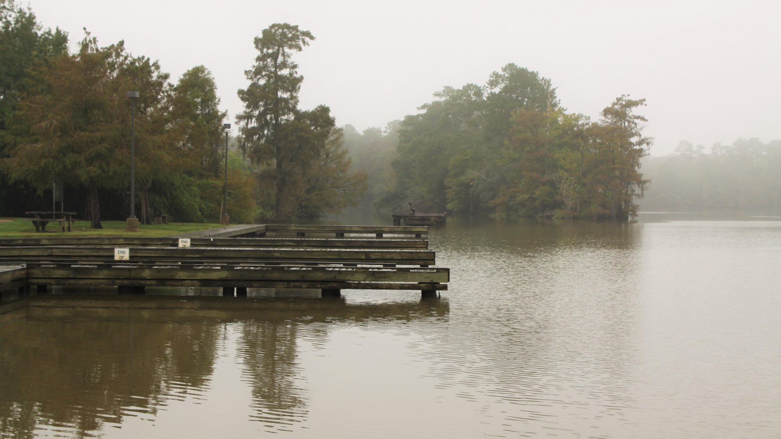 wooden boat dock and pier extending from the riverbank out into the river on a foggy day