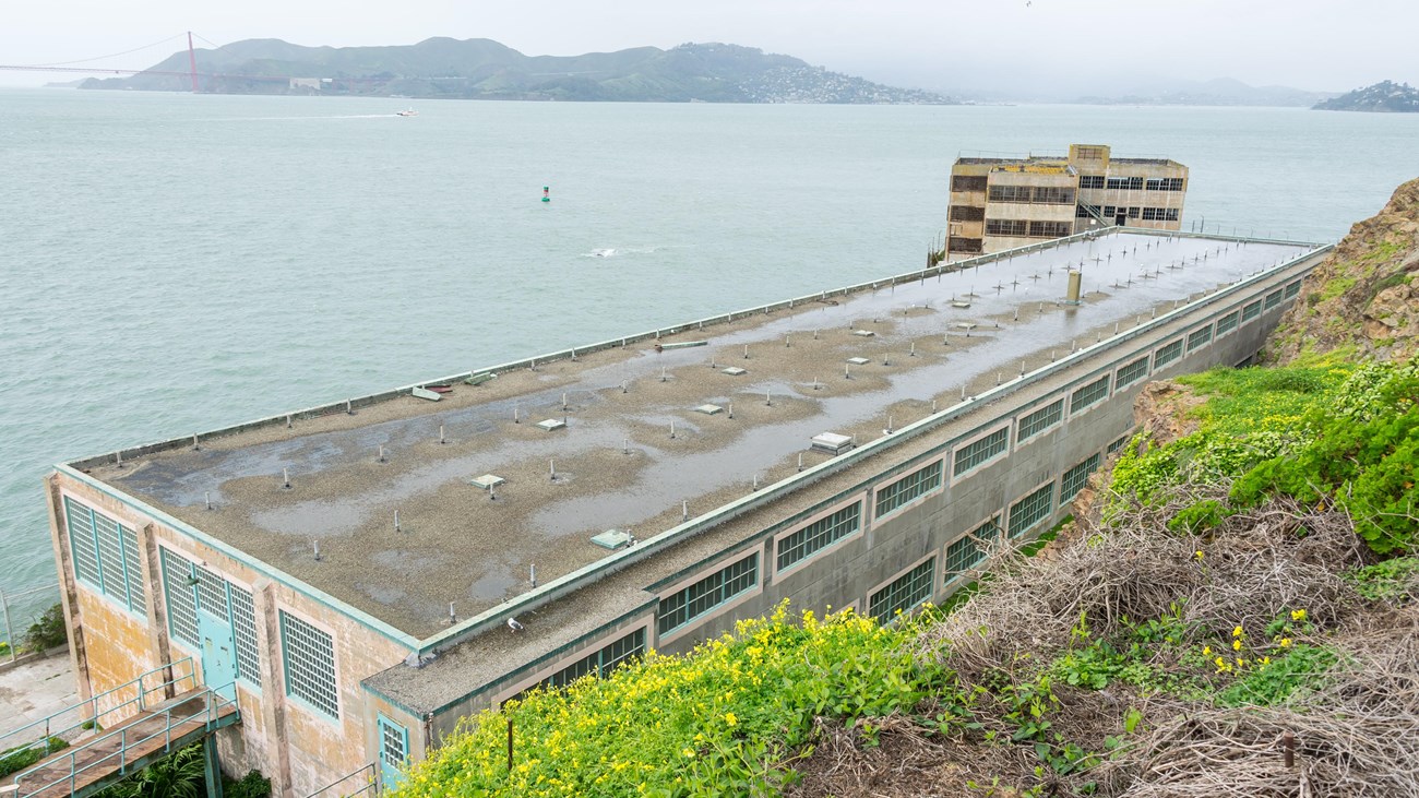 A long building next to a rocky plant covered slope, sitting in front of a large body of water.