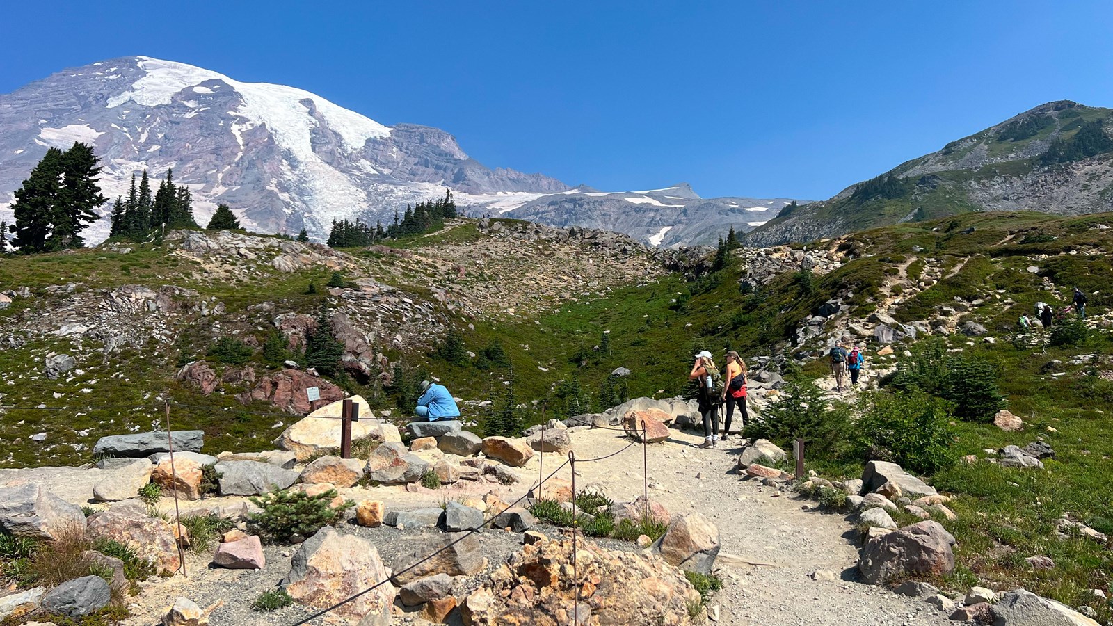 T-shaped intersection surrounded by patches of open meadow with glaciated summit of Mount Rainier to
