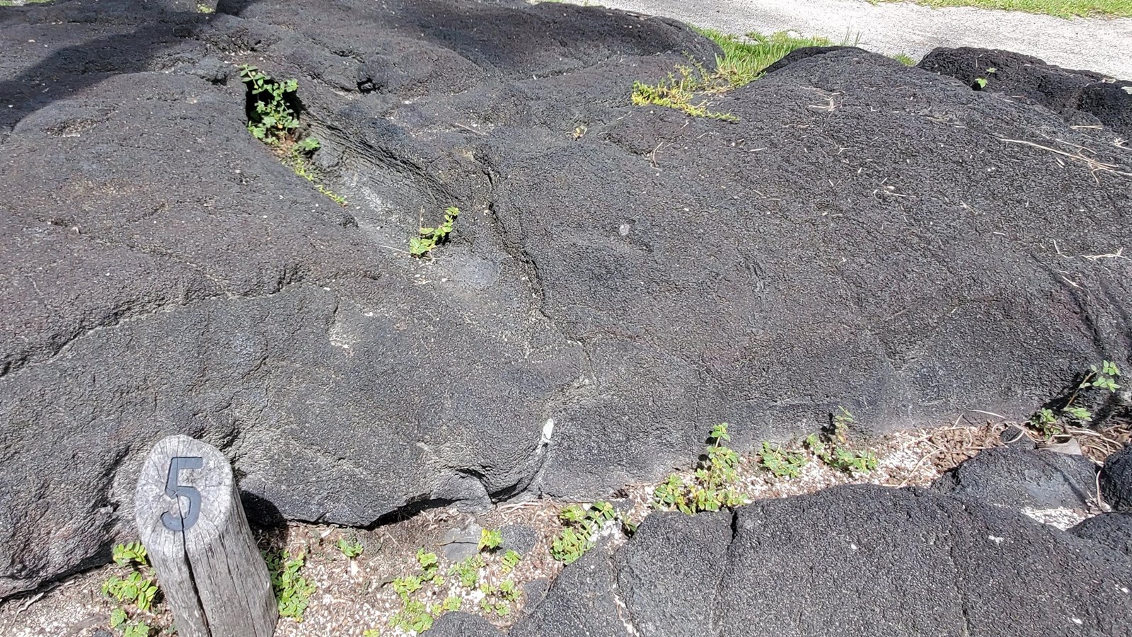 A long, open, cylindrical mold of a tree trunk in the lava rock.