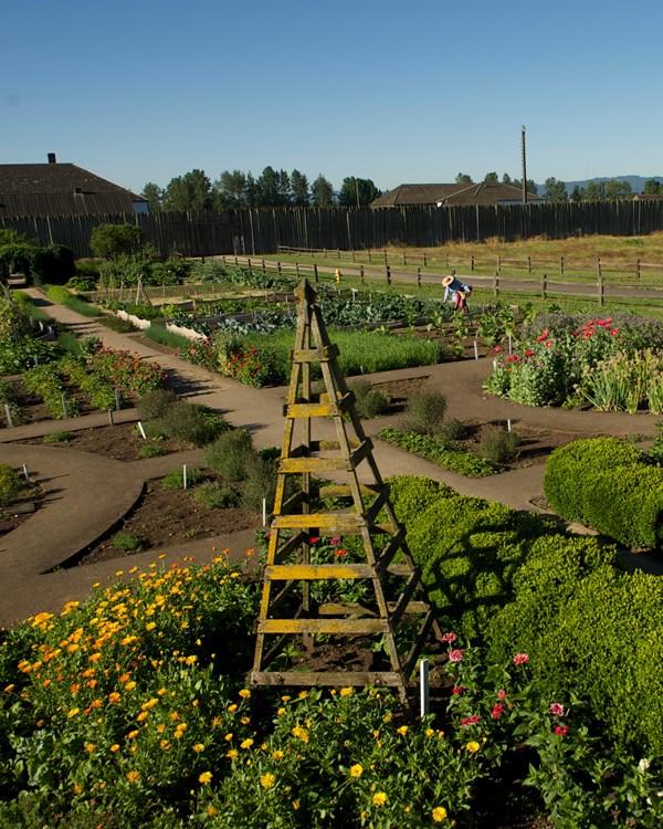 A view of the garden on the north side of the reconstructed Fort Vancouver.