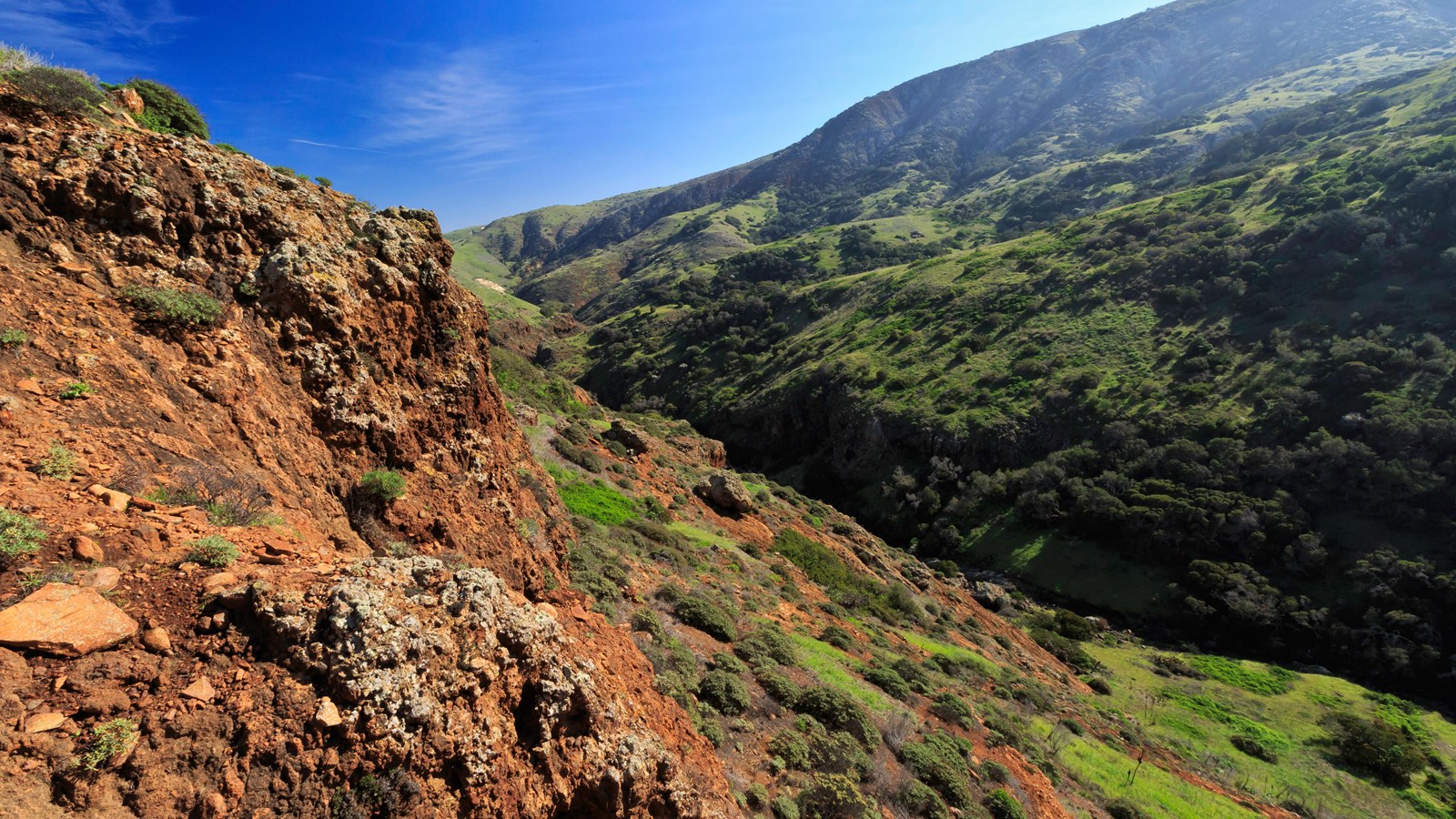 Iron colored rock canyon walls covered in green vegetation. 