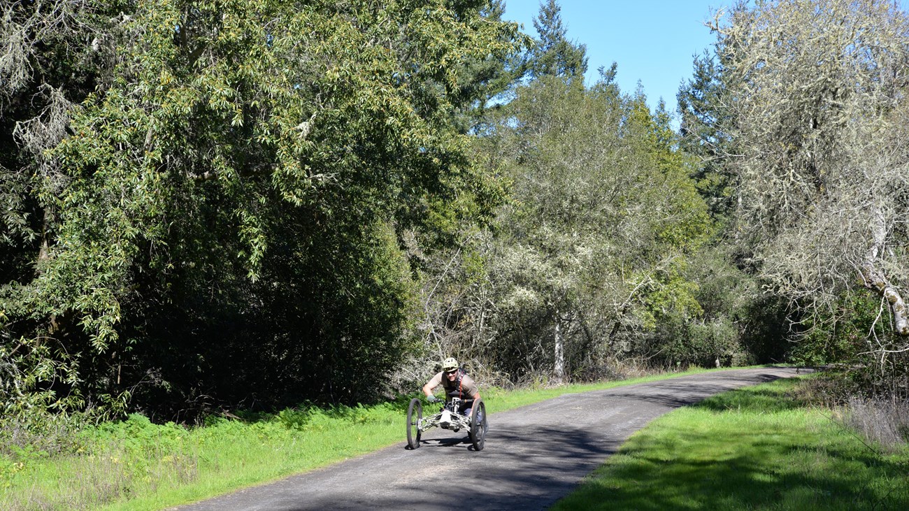 A handcyclist smiles as he cycles along a wide gravel trail, bordered by bay trees and green grass.