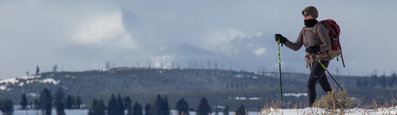 A solitary skier glides through fresh snow on Blacktail Plateau Ski Trail.