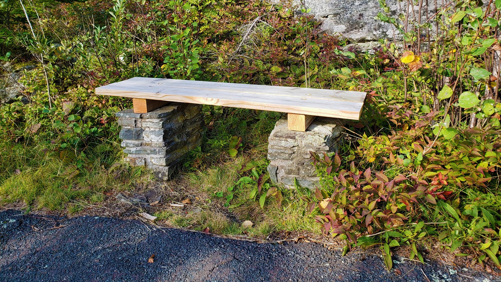 A wood bench next to a gravel trail surrounded by trees.