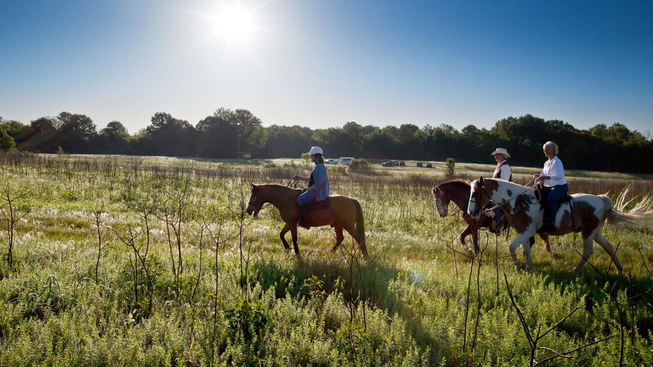 Three riders on horseback riding in a prairie