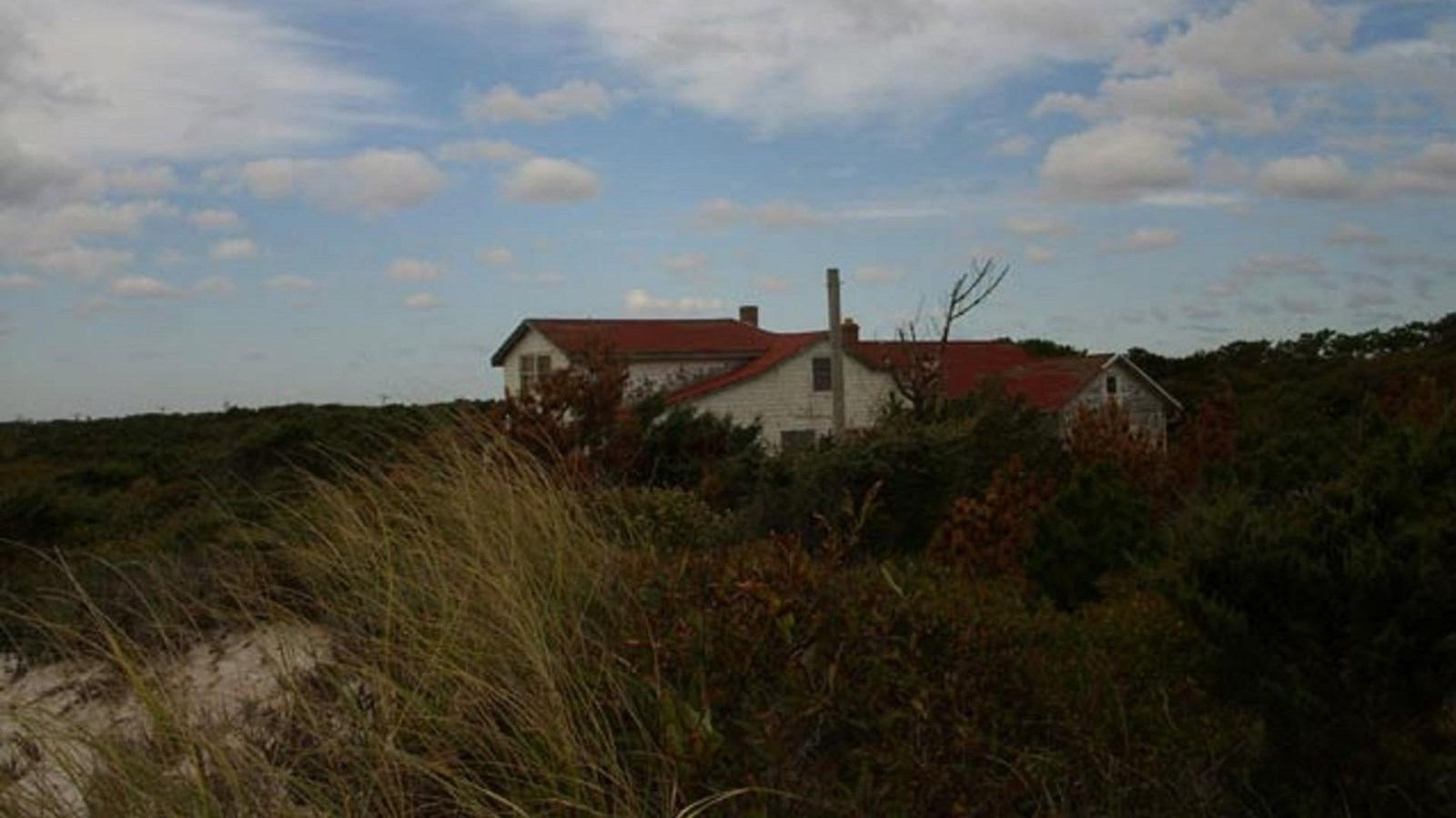House in a field with shrubbery