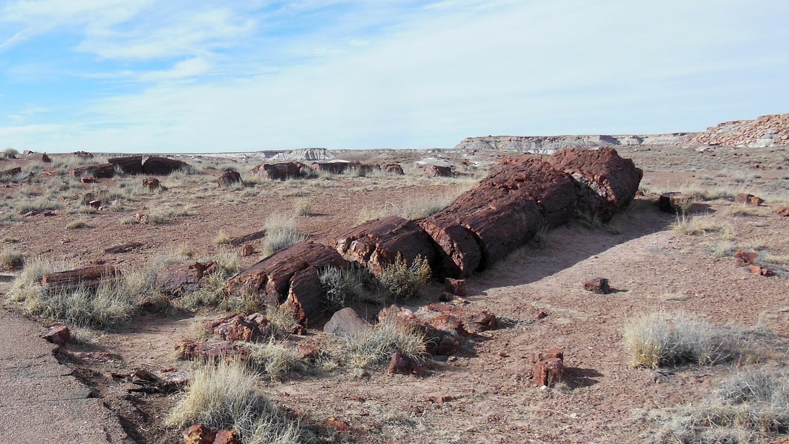 Petrified log with mesas in the background partially cloudy sky