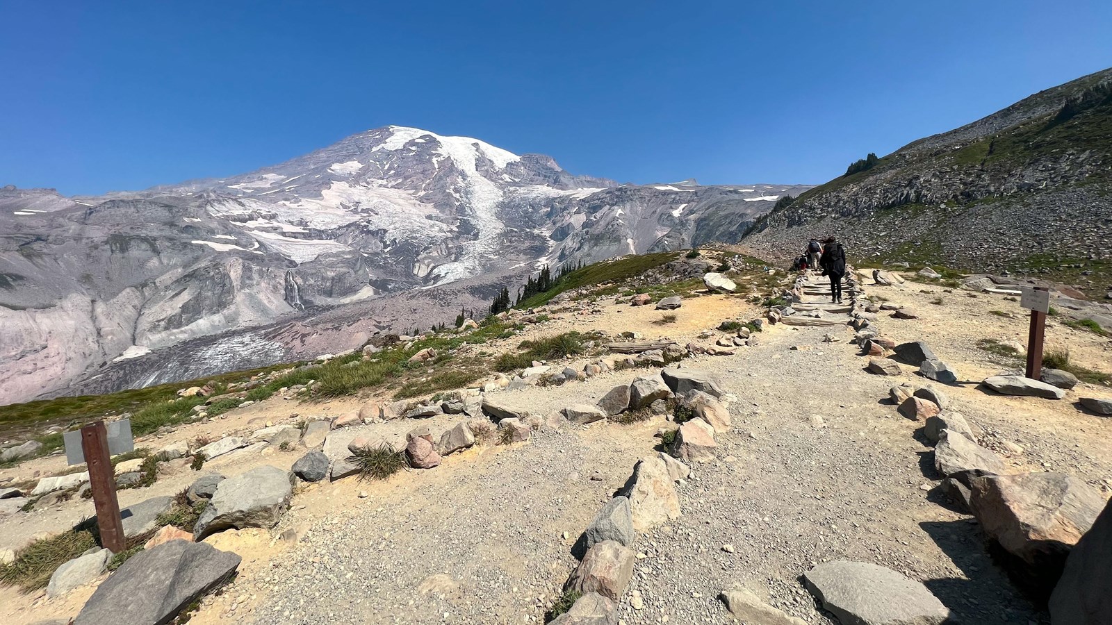 V-shaped trail intersection surrounded by open meadow with glaciated summit of Mount Rainier to the