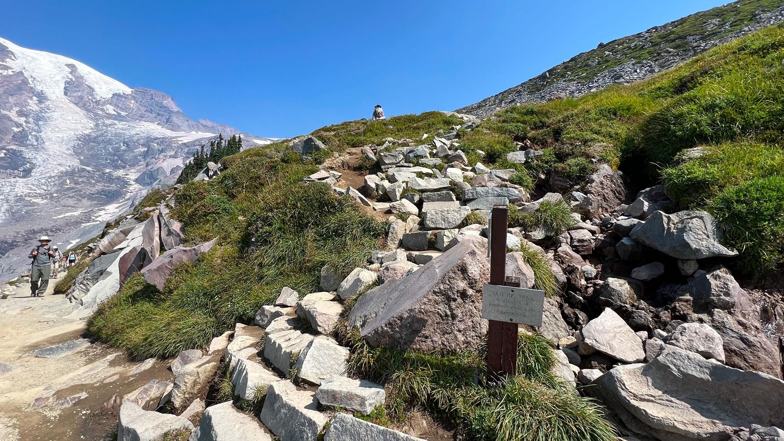 Glaciated mountain and rocky stairs to the north at a V-shaped trail junction surrounded by meadow