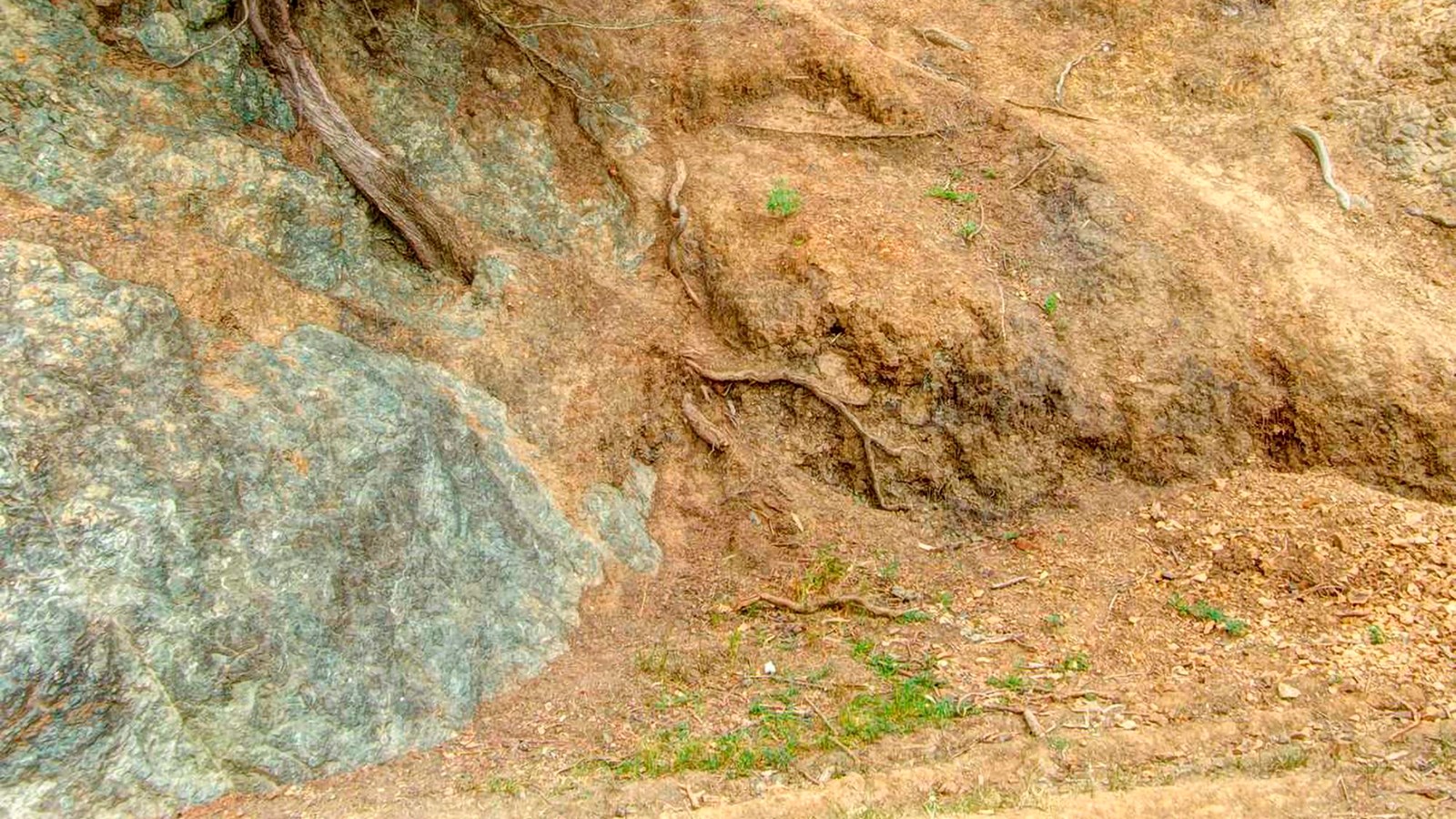  Greyish and greenish rocks abut one another along the visible fault line on this slope. 