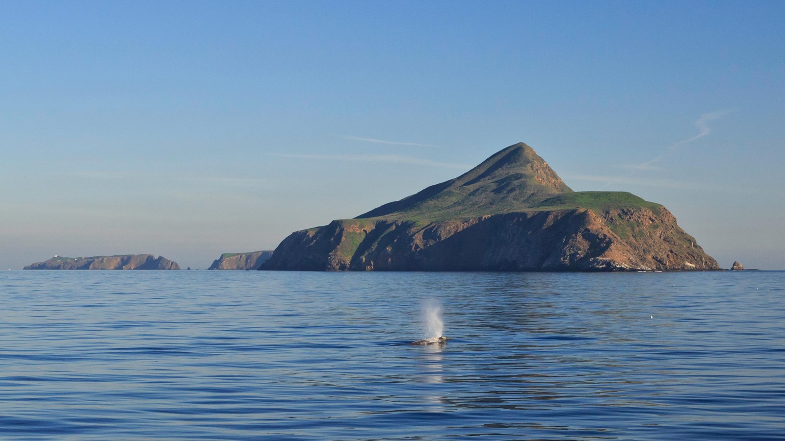 Island rising steeply from the calm ocean water with a whale spouting in the foreground.