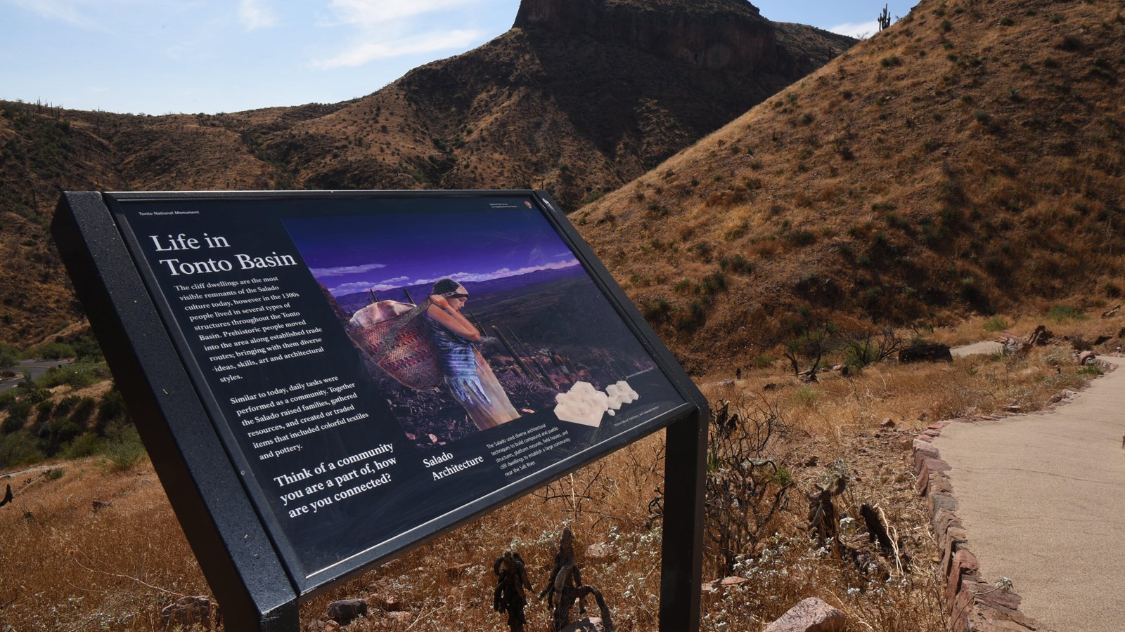 Wayside of LIfe in Tonto Basin on hillside