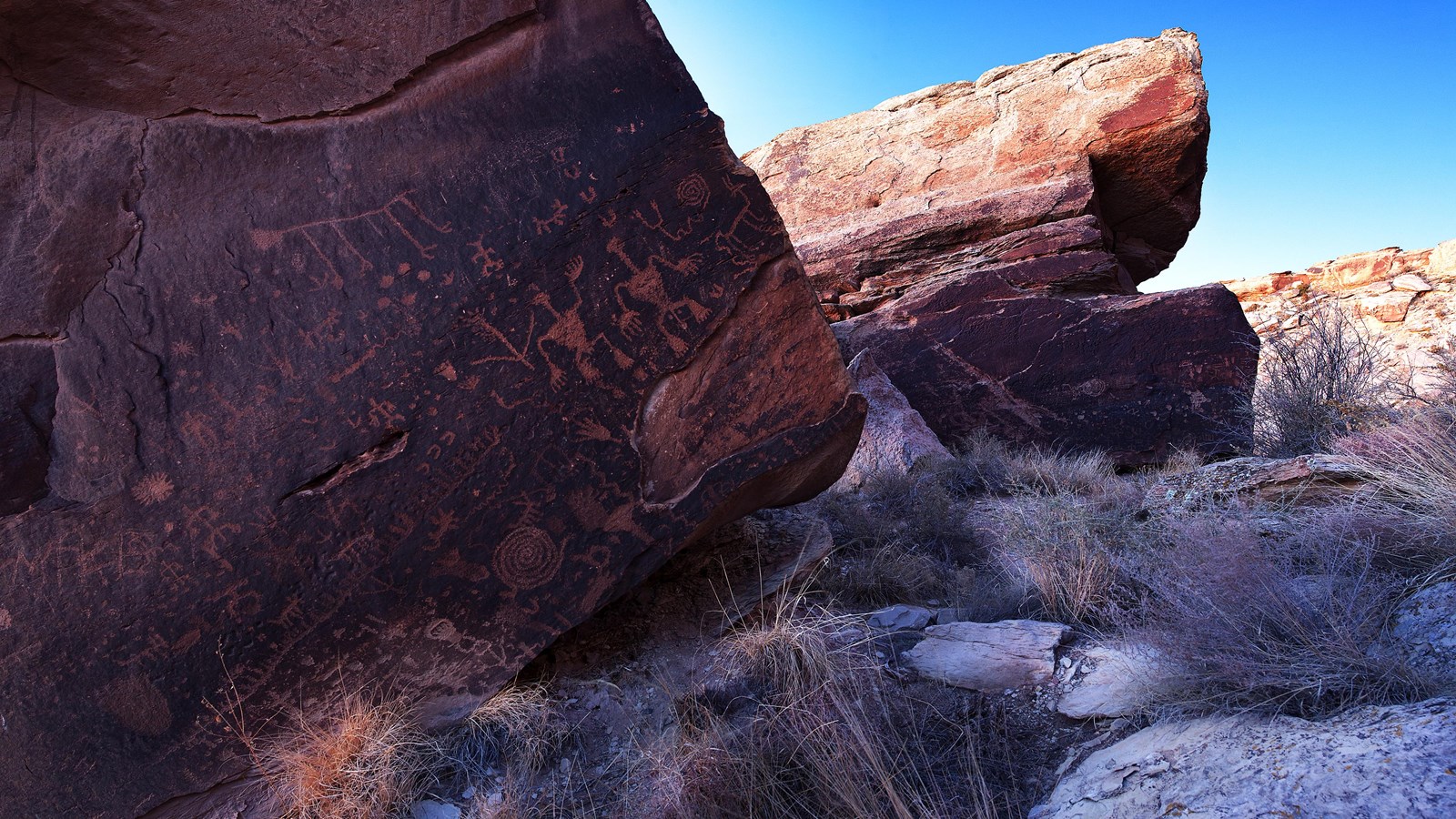 Sandstone boulders partially in shadow with many pecked and incised symbols on the sides.