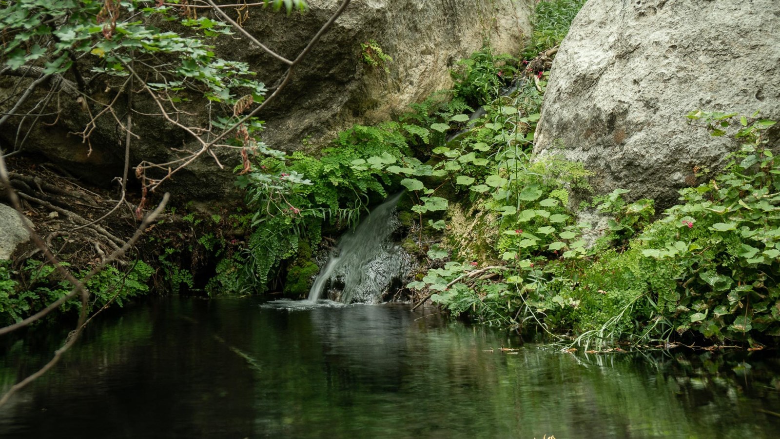 Water falls into a pool below mossy stones