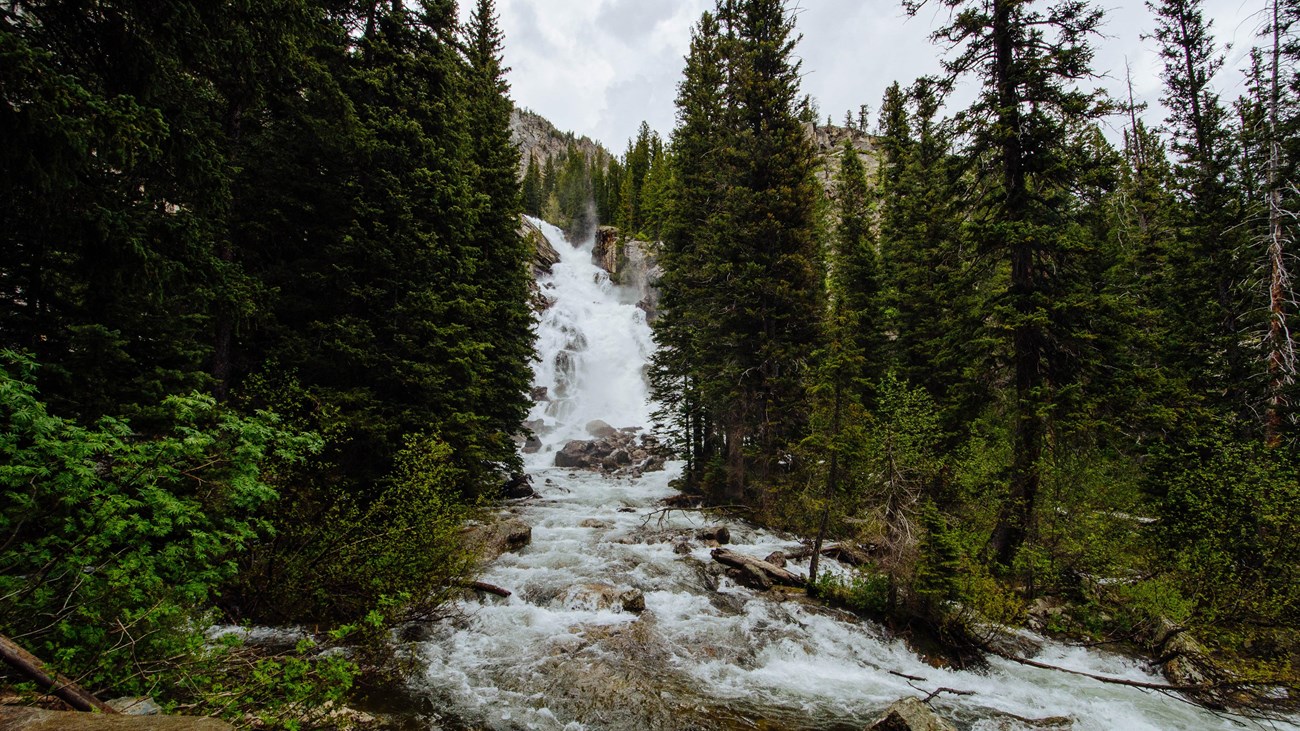 Hike Hidden Falls Trail, hiking park located in Jackson, Wyoming