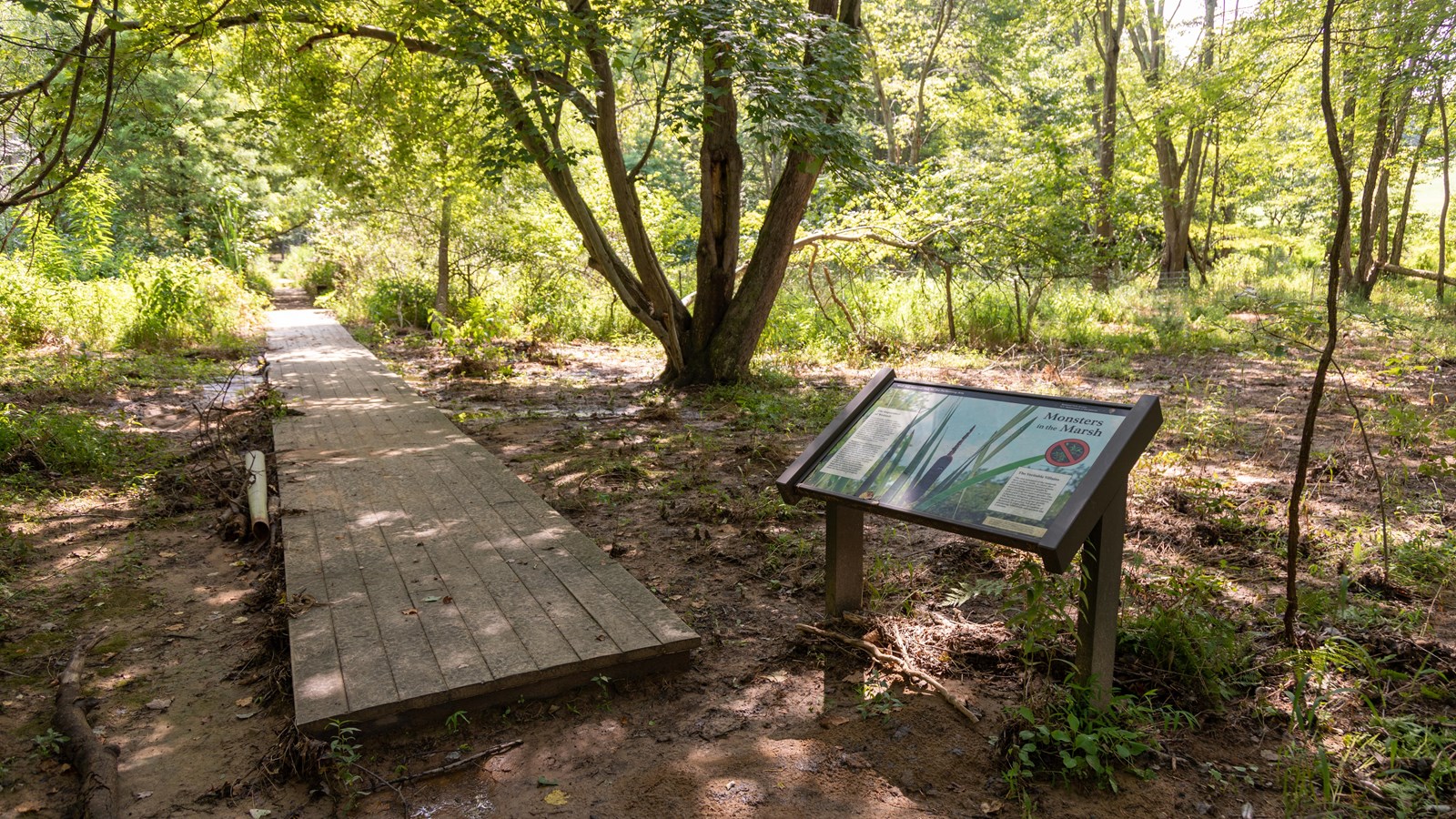 information panel found on trail and boad walk with trees around